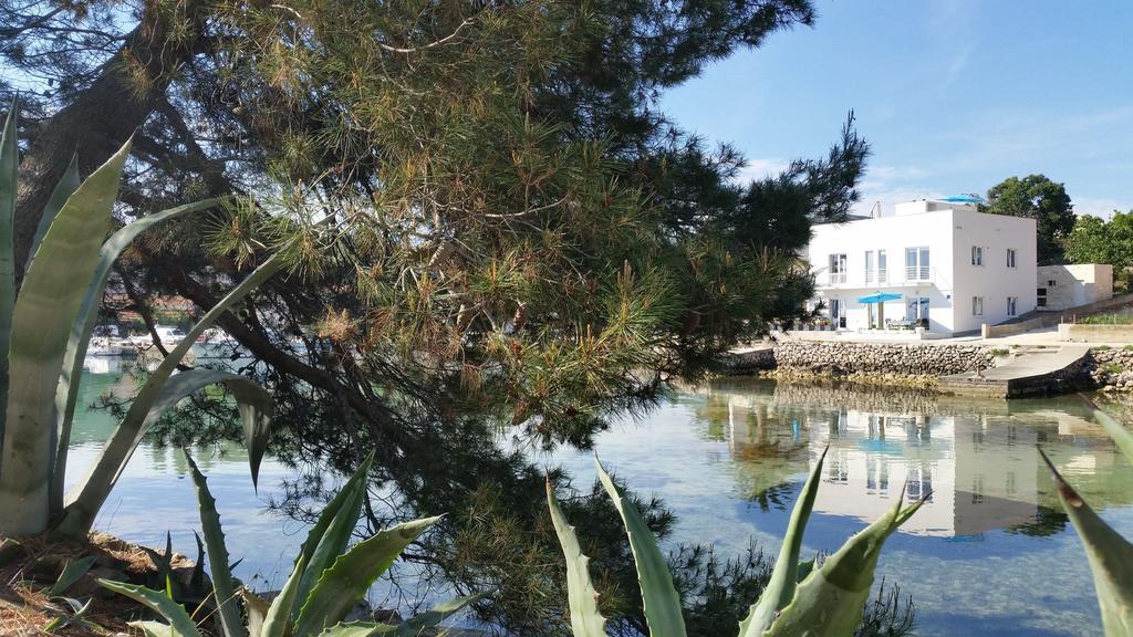Apartments Sea Reflections Žman Extérieur photo